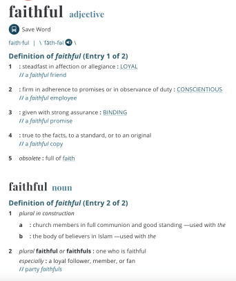 Screen Shot 2019-11-19 at 11.08.19 AM